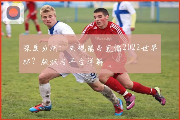 深度分析：央视能否直播2022世界杯？版权与平台详解