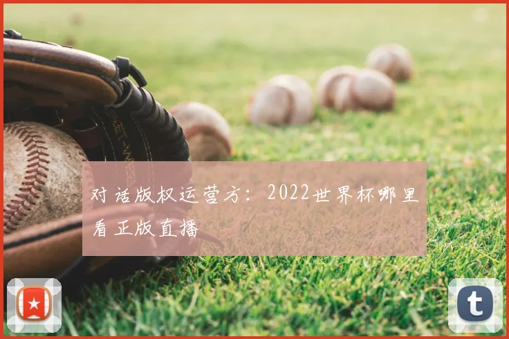对话版权运营方：2022世界杯哪里看正版直播