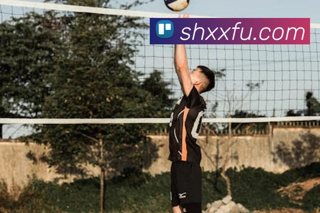 安博站官网登录入口发展历程